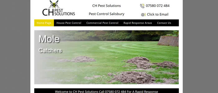 new website for pest control salisbury