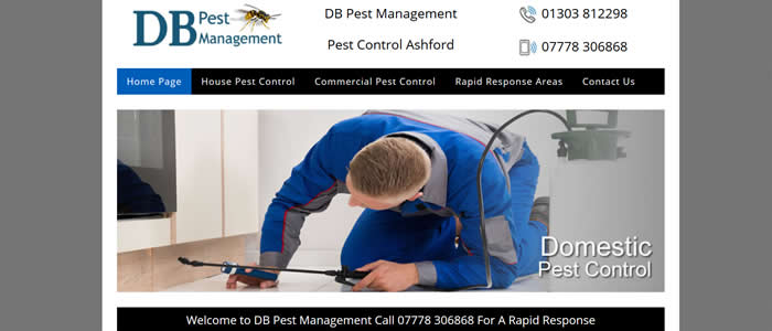 web design for pest control in ashford kent
