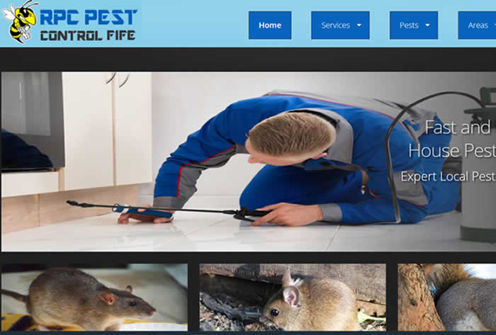 pest control web design in Bolton