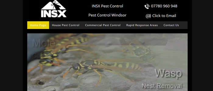 web design for pest control windsor