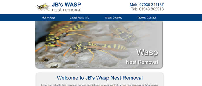 web design for wasp nest removal