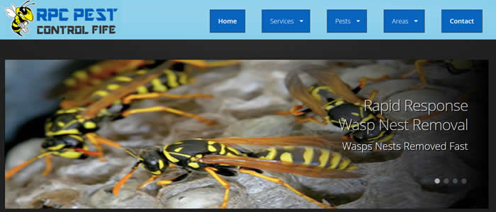 web design for pest control fife scotland
